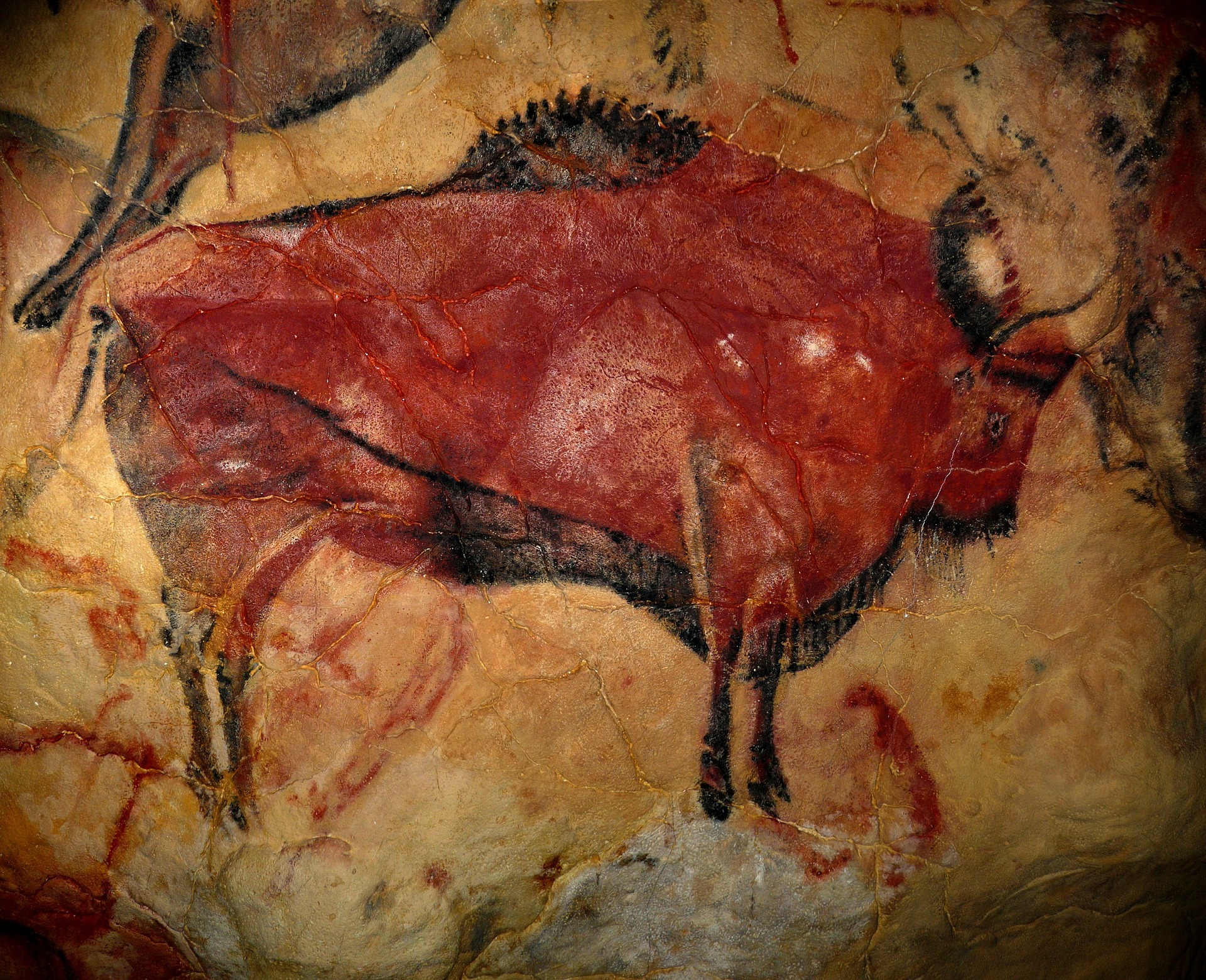 bison-1171794_1920 bison-1171794_1920